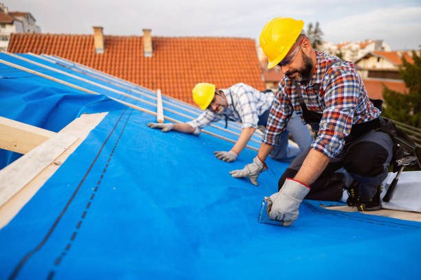 Roof Gutter Cleaning in Hastings, NE